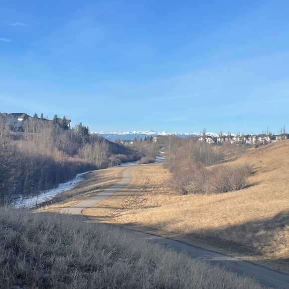 Meet your Posher, Chloe - Picture 1 of 1